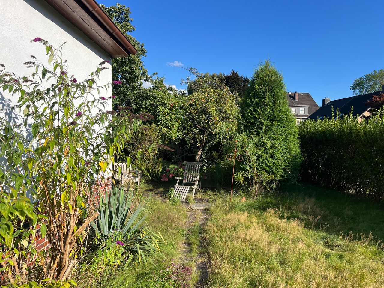 Seitenansicht