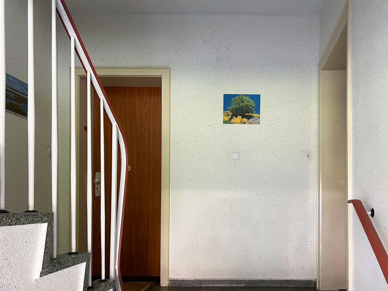 Gepflegtes Treppenhaus