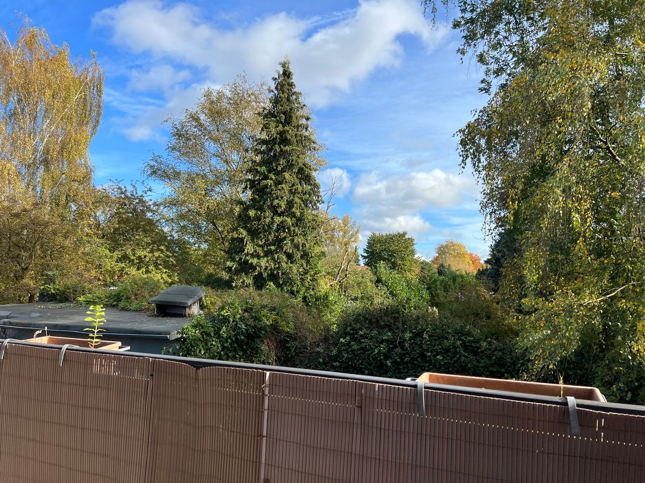 Blick ins Grüne