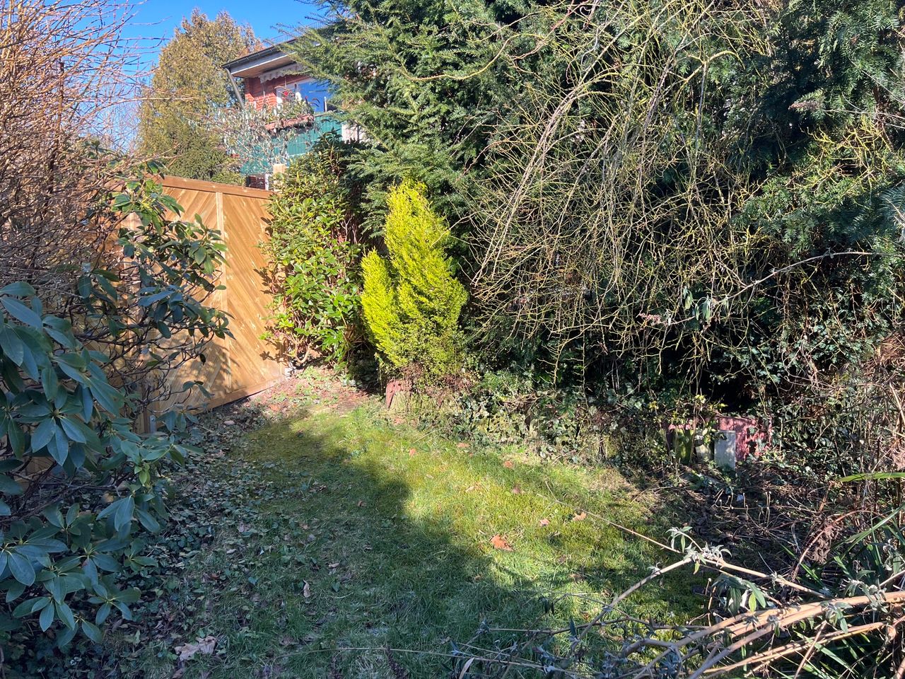 Grüner Garten