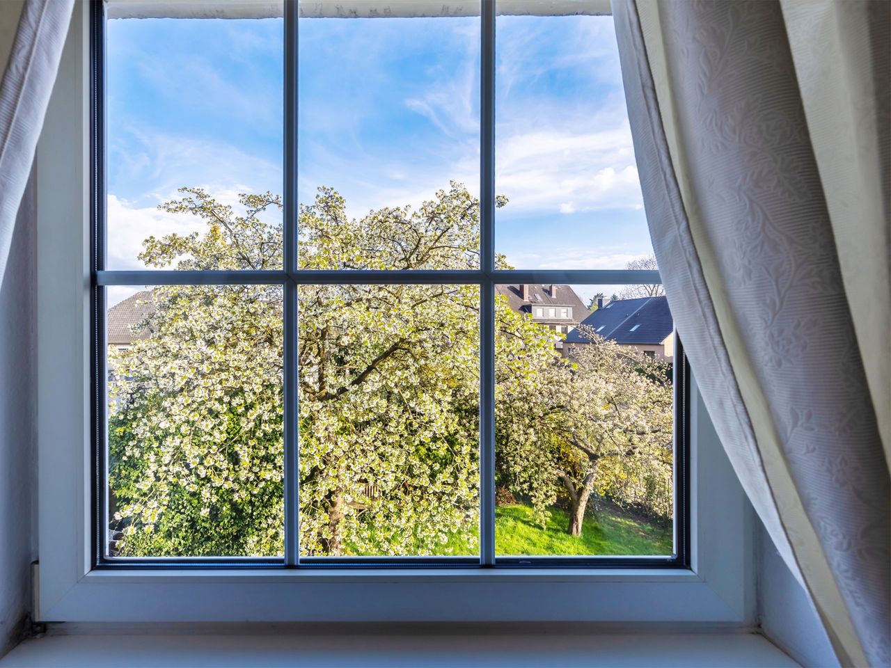 Blick ins Grüne