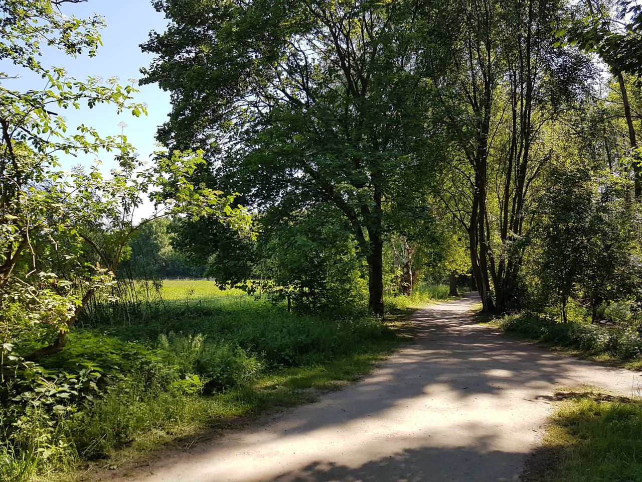 Spaziergang Kollau-Wanderweg